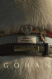 Gohan